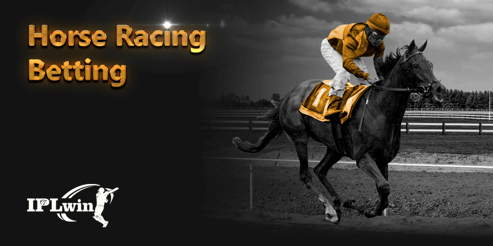 xbet